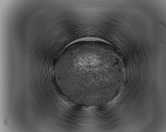 X0000091860186200709121337