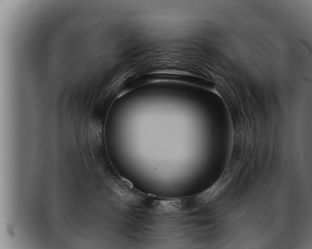 X0000091860188200709121337