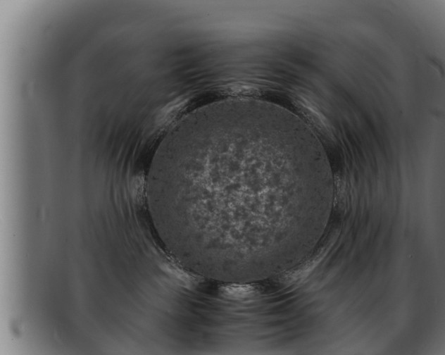 X0000091860189200709121337