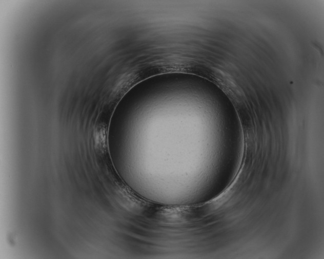 X0000091860190200709121337