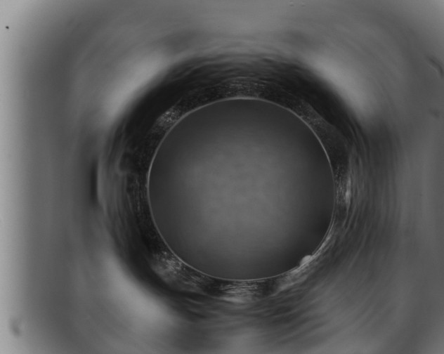 X0000091860191200709121337