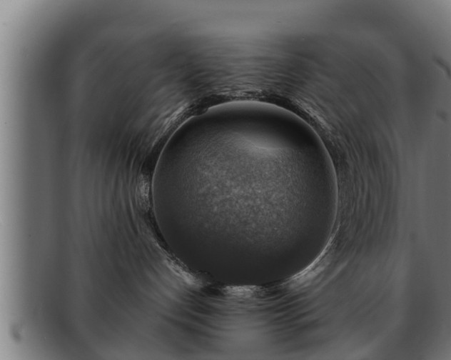 X0000091860192200709121337