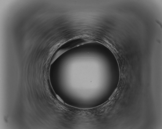 X0000091860193200709121336