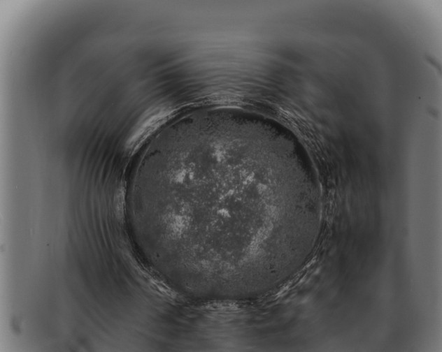 X0000091860194200709121336