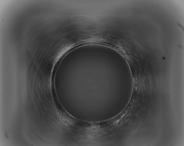 X0000091860196200709121336