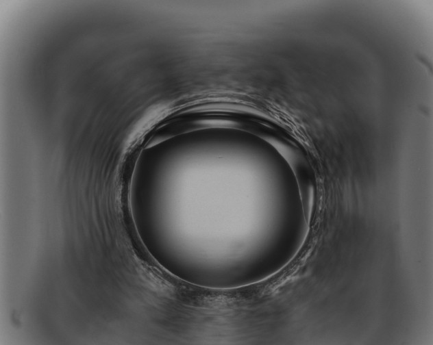 X0000091860197200709121336