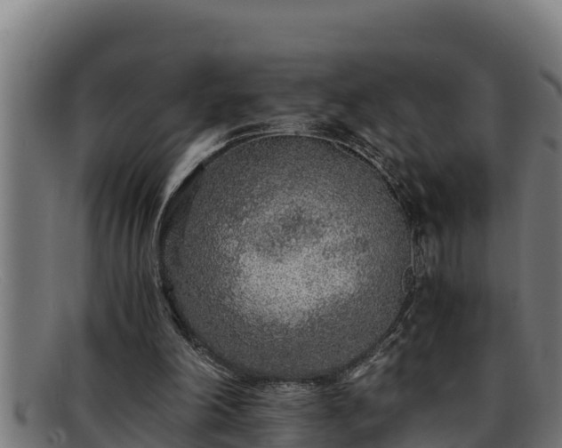 X0000091860198200709121336