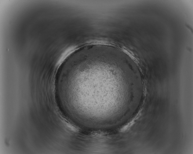 X0000091860199200709121336