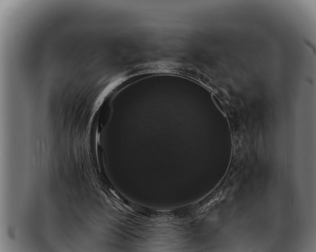 X0000091860200200709121336