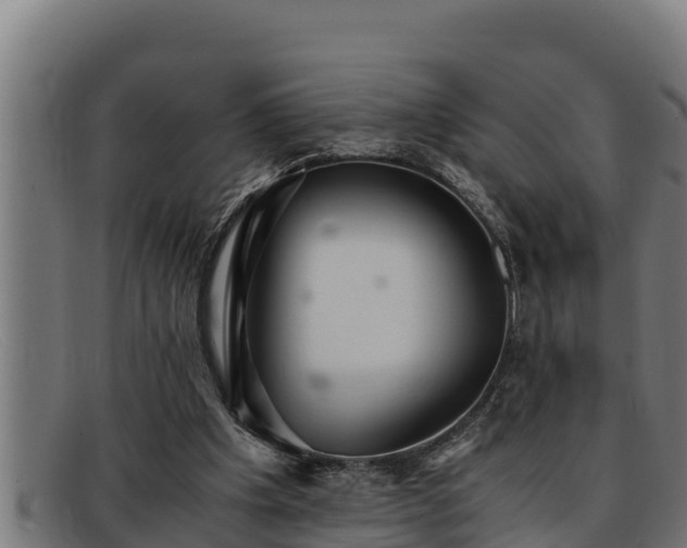 X0000091860201200709121336