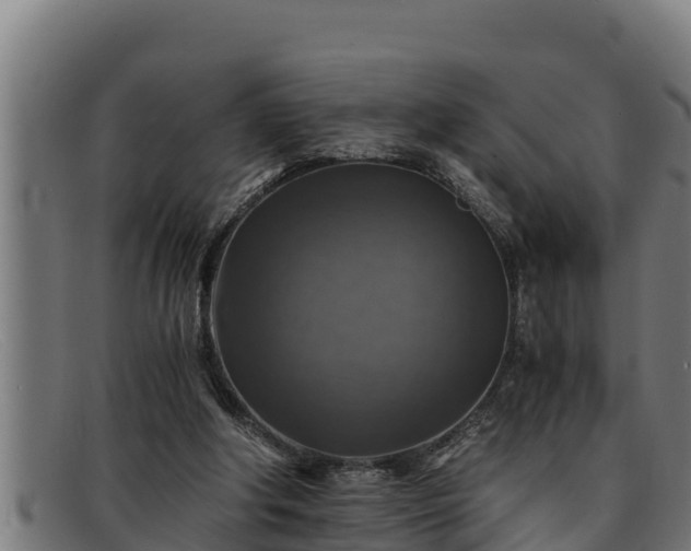 X0000091860202200709121336