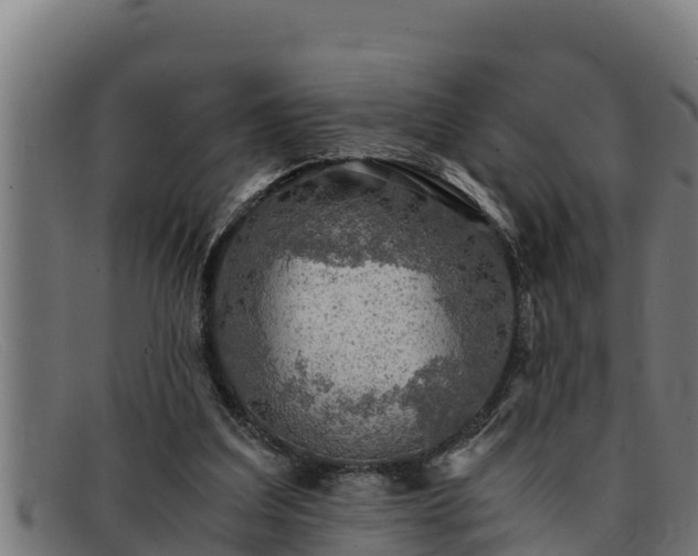 X0000091860203200709121336