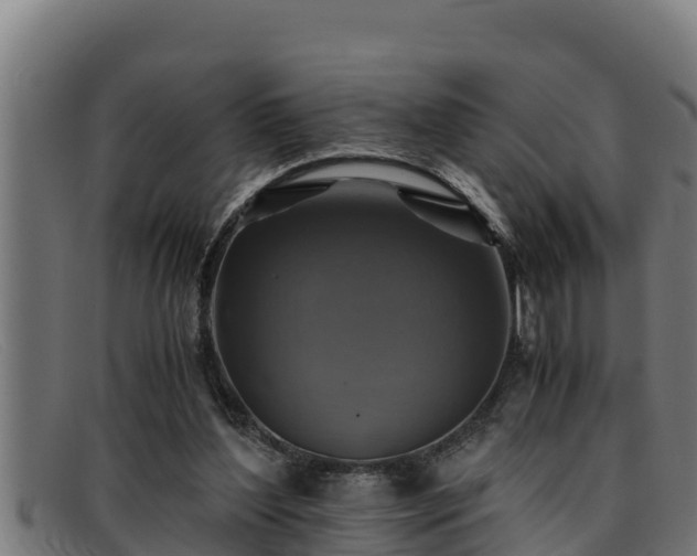 X0000091860204200709121336