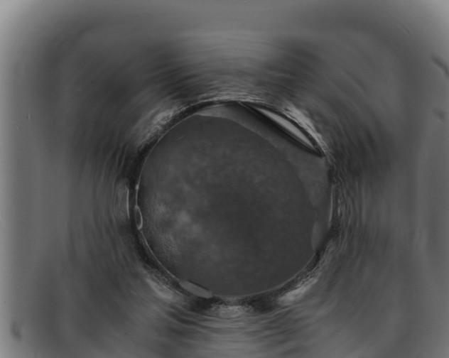 X0000091860205200709121336