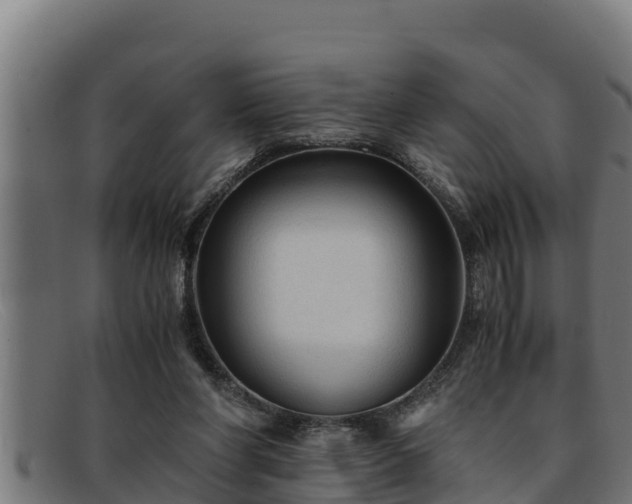 X0000091860206200709121336