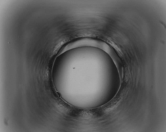 X0000091860207200709121336