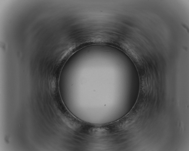 X0000091860208200709121336