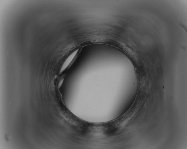 X0000091860209200709121336