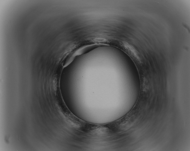 X0000091860210200709121336