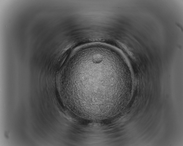 X0000091860211200709121336