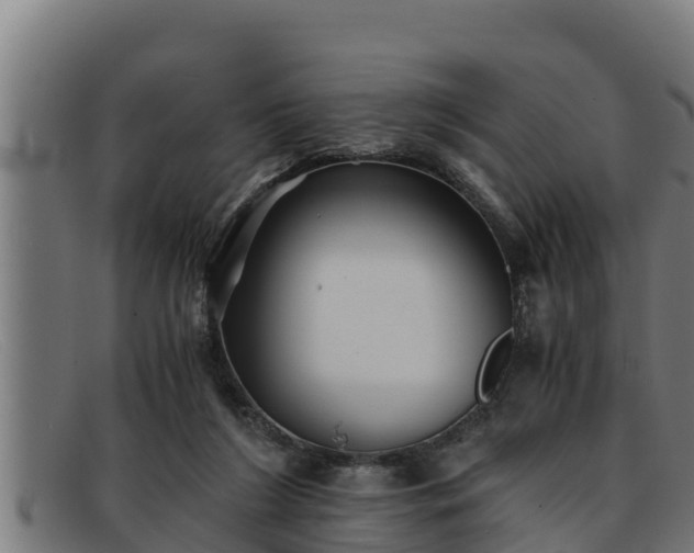 X0000091860212200709121336