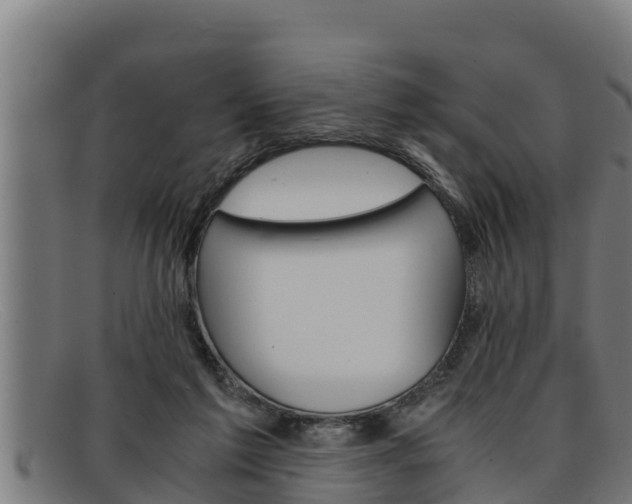 X0000091860213200709121336