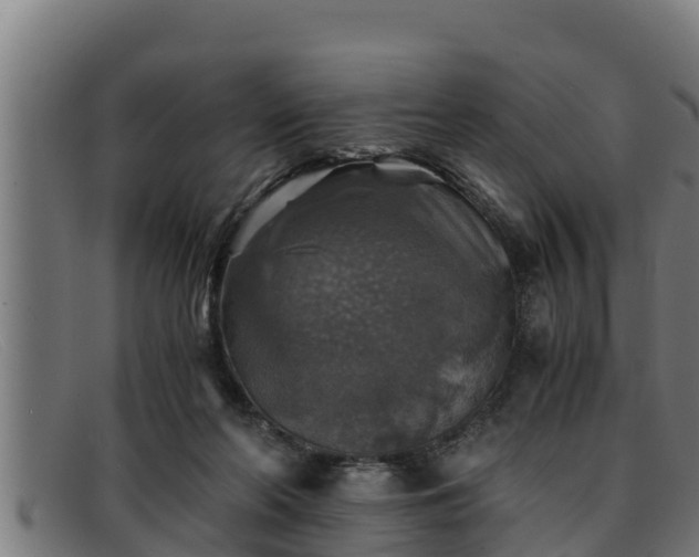 X0000091860214200709121336