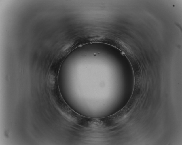 X0000091860215200709121336