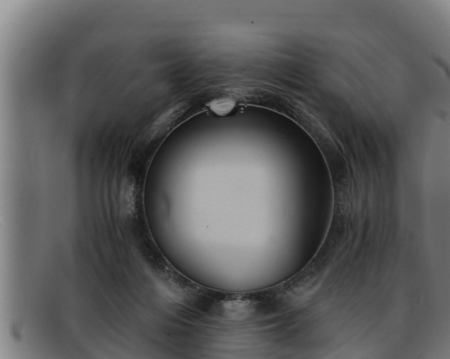 X0000091860216200709121336