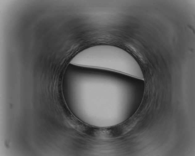 X0000091860217200709121336