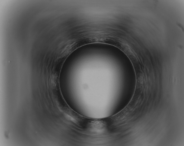 X0000091860218200709121336