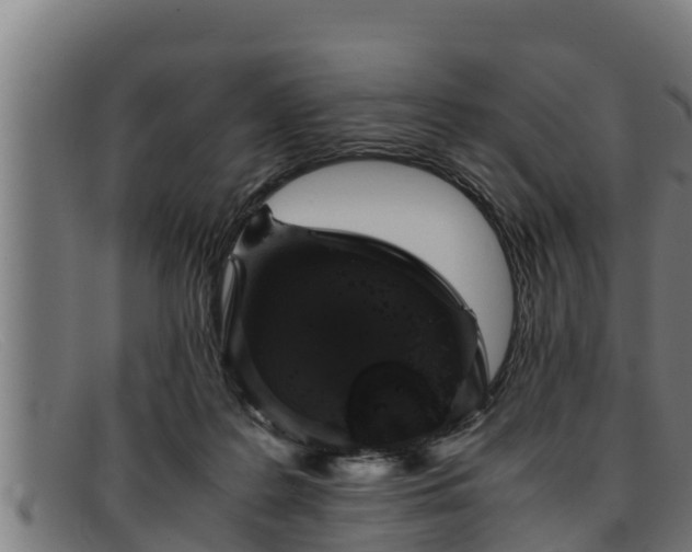 X0000091860219200709121336