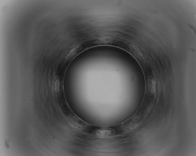 X0000091860220200709121336