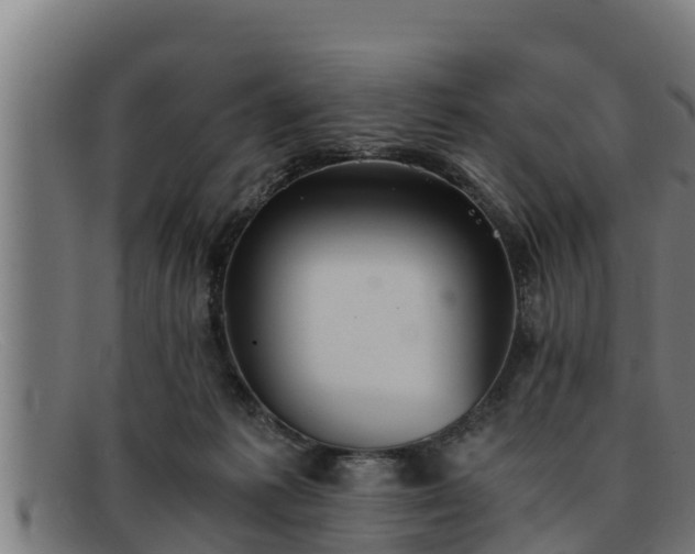 X0000091860221200709121336