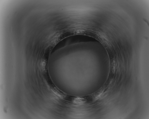 X0000091860222200709121336