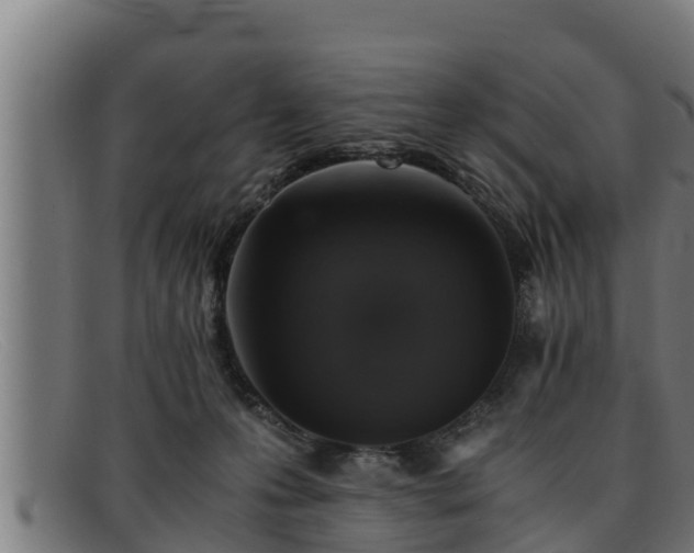 X0000091860223200709121336