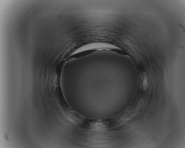 X0000091860224200709121336