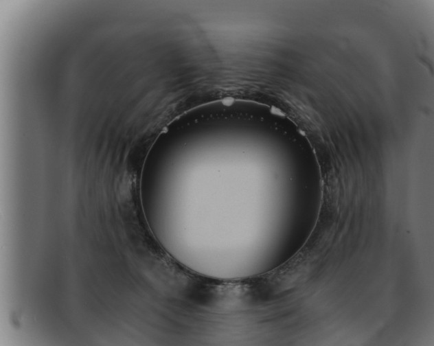 X0000091860225200709121336