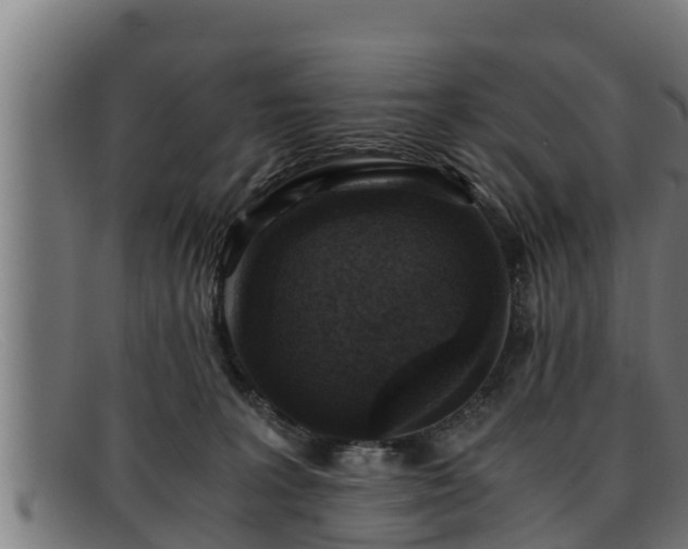 X0000091860227200709121336