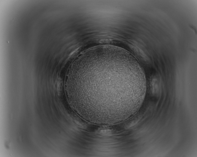 X0000091860228200709121336