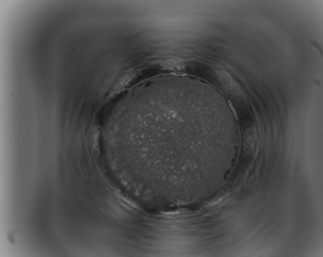 X0000091860229200709121336