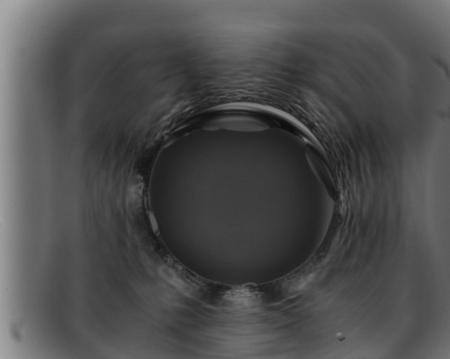 X0000091860231200709121336