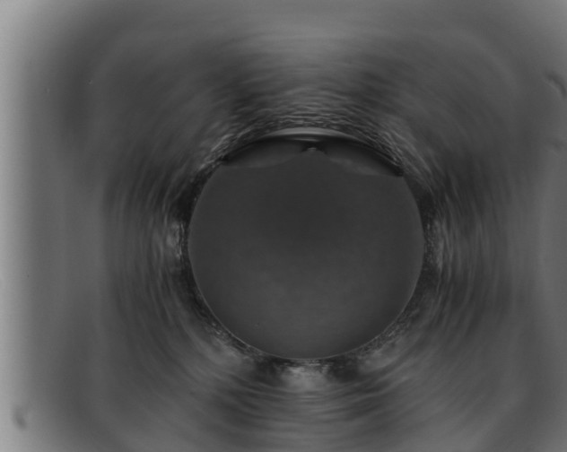 X0000091860232200709121336