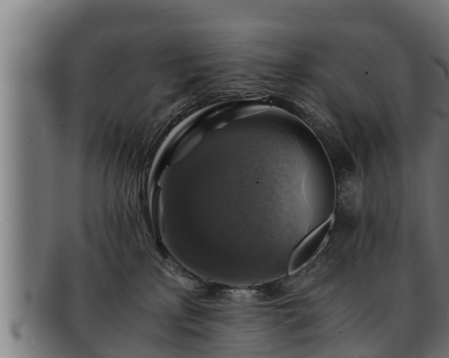 X0000091860233200709121336