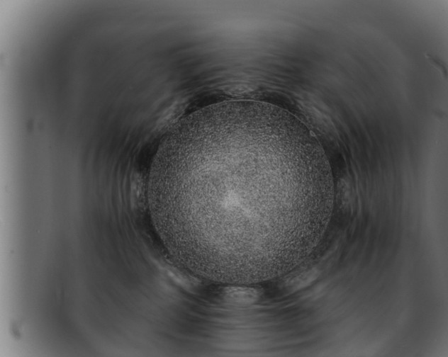 X0000091860234200709121336