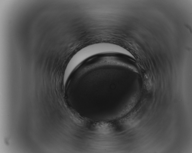 X0000091860235200709121336