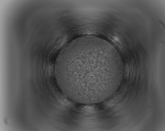 X0000091860236200709121336