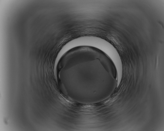 X0000091860237200709121336