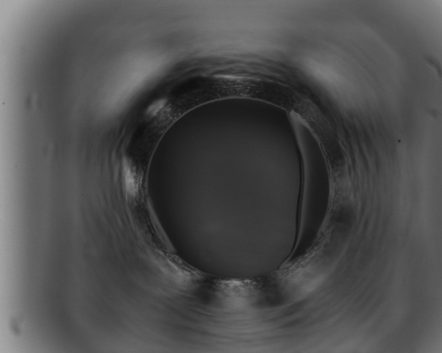 X0000091860239200709121336