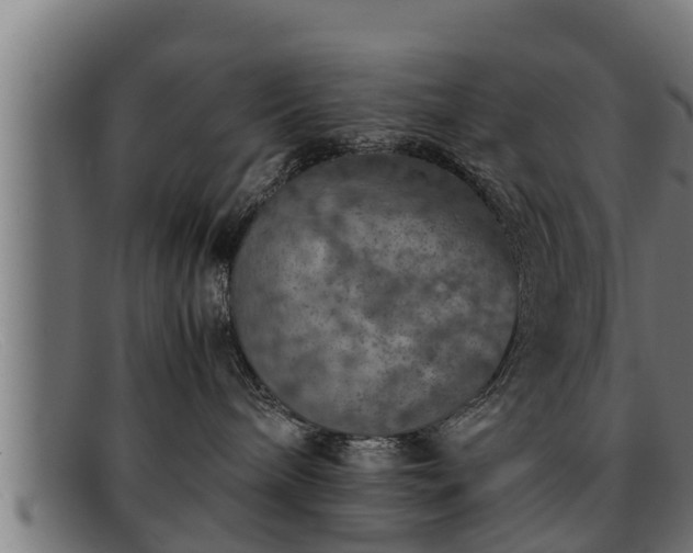 X0000091860240200709121336